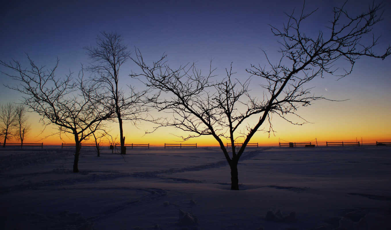 пейзажи -, снег, рассвет, winter, поле, landscape, утро, trees, depression