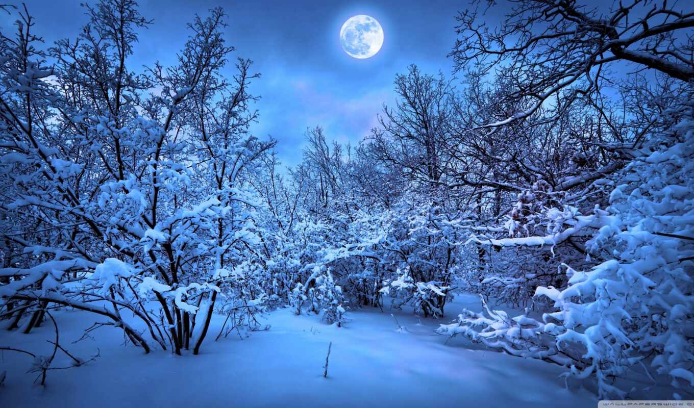 blue, ночь, снег, winter, pic
