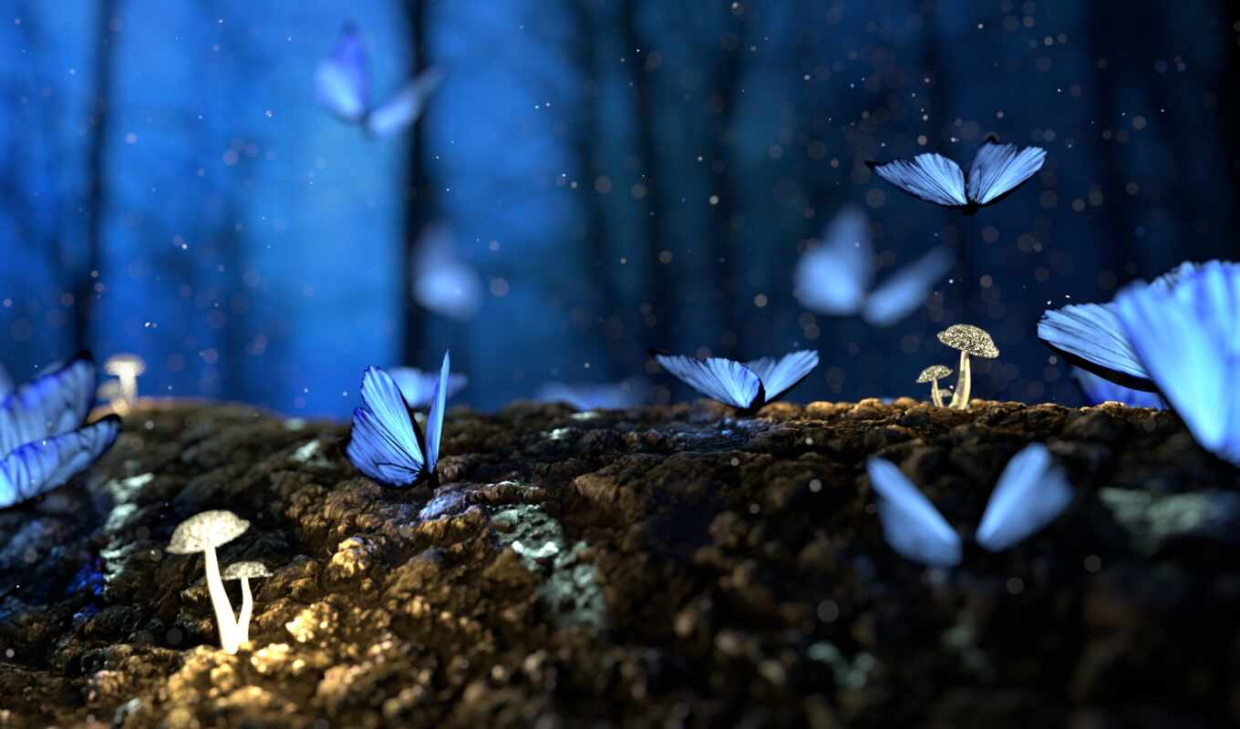 blue, бабочка, dream, fantasy, wood