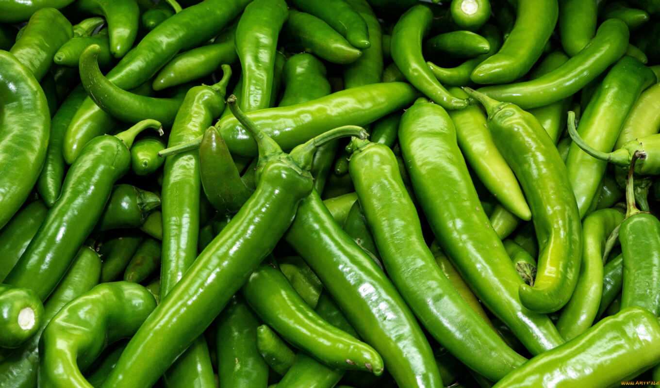 green, view, hot, pepper, package