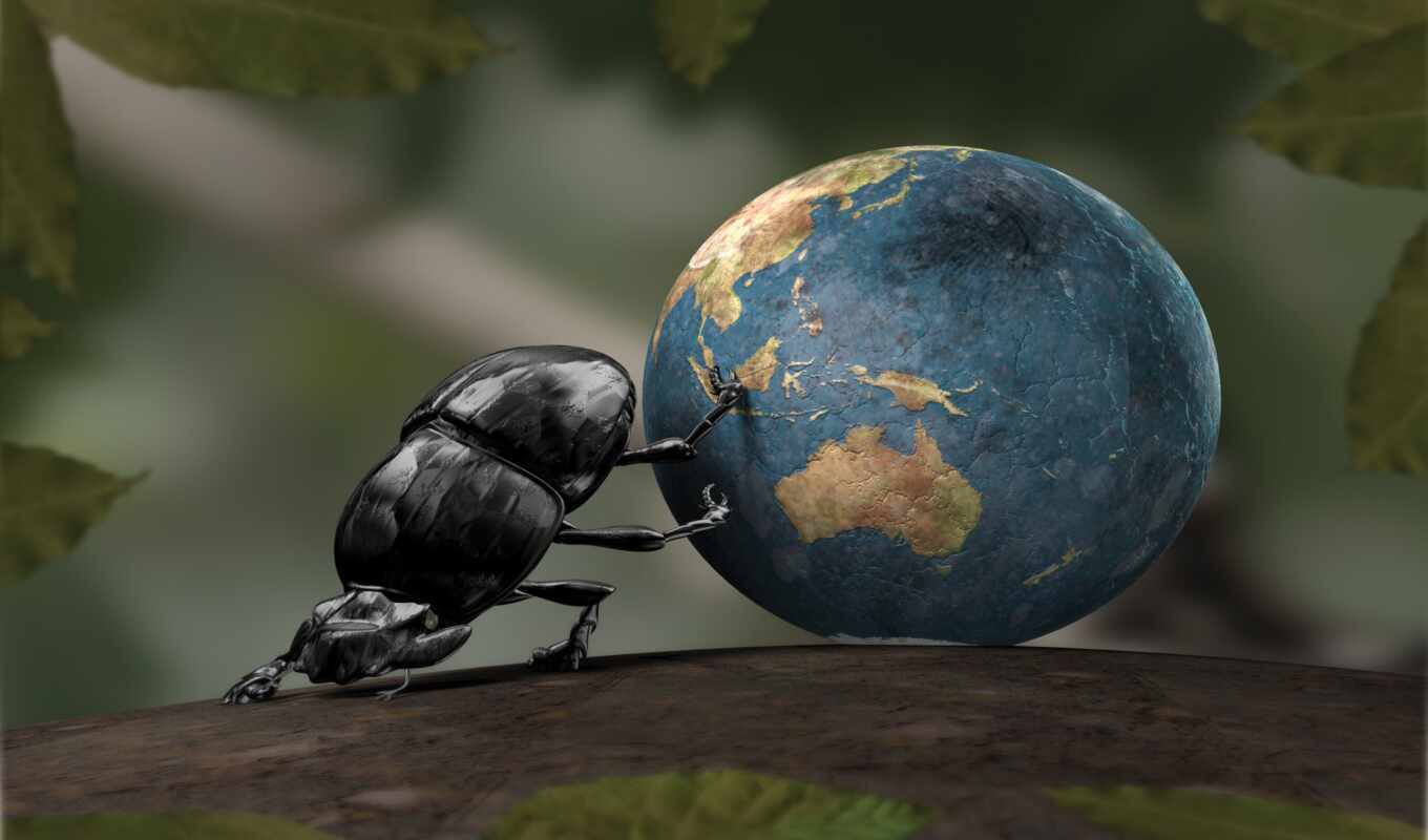 world, жук, катится
