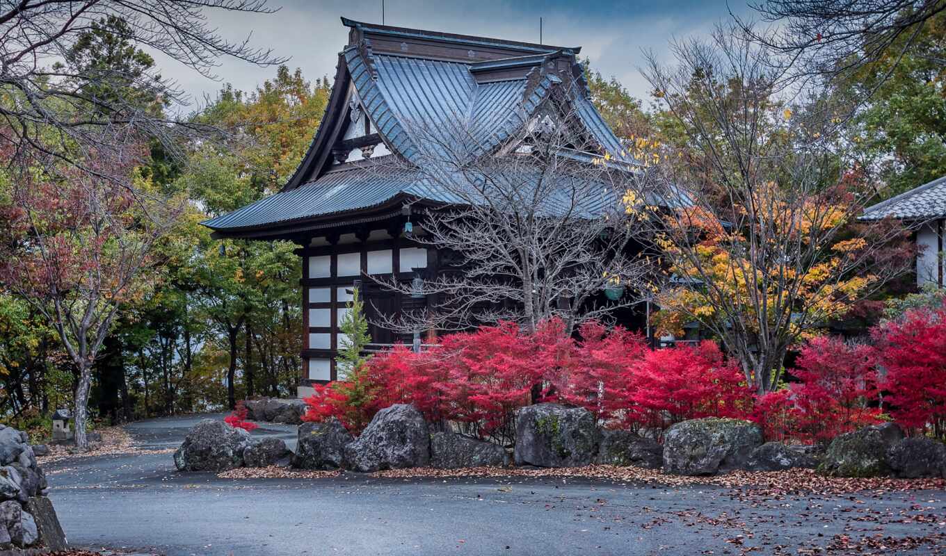 architecture, япония, trong, casa, tiếng, numa, rbole