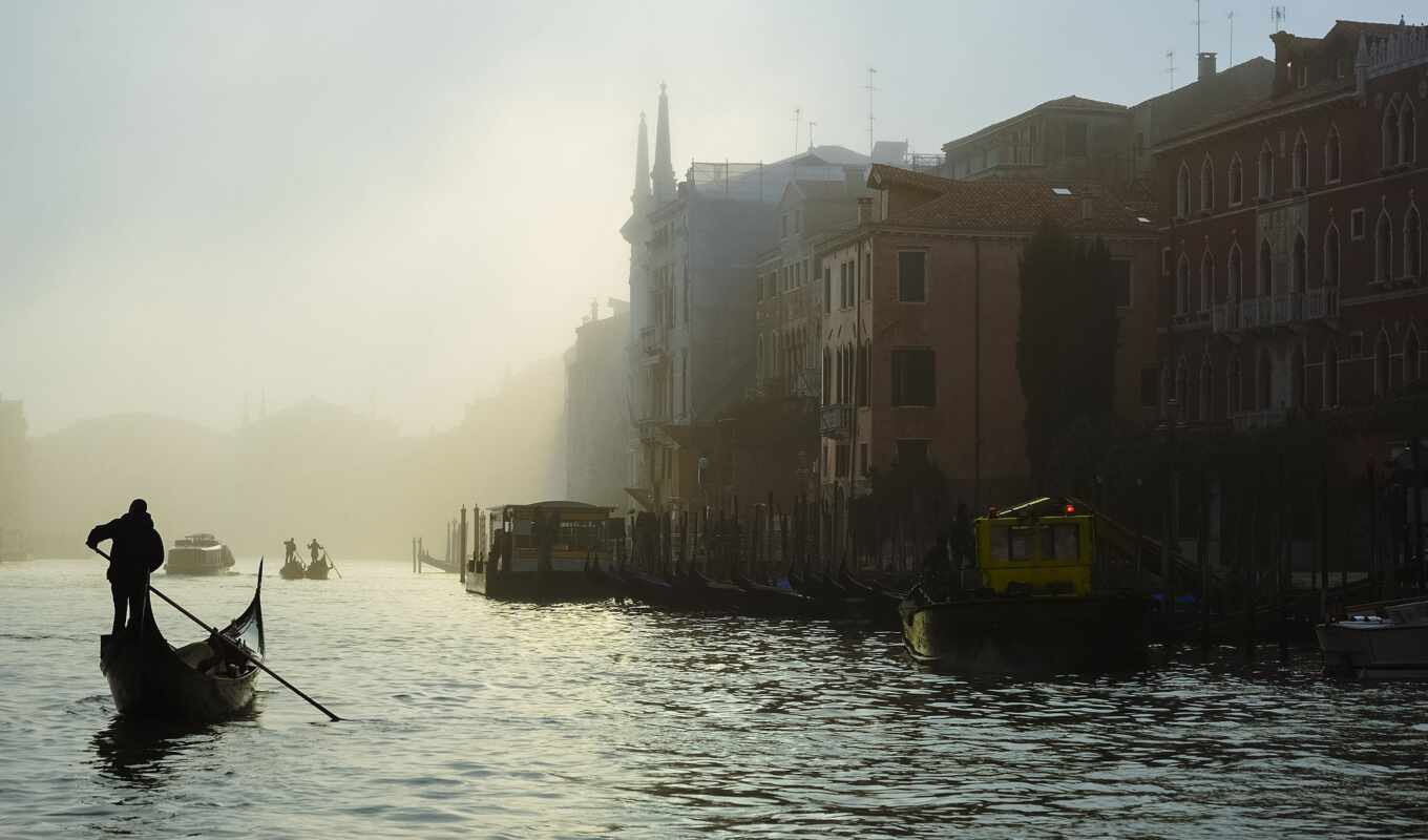 dog, morning, fog, italy, Venice