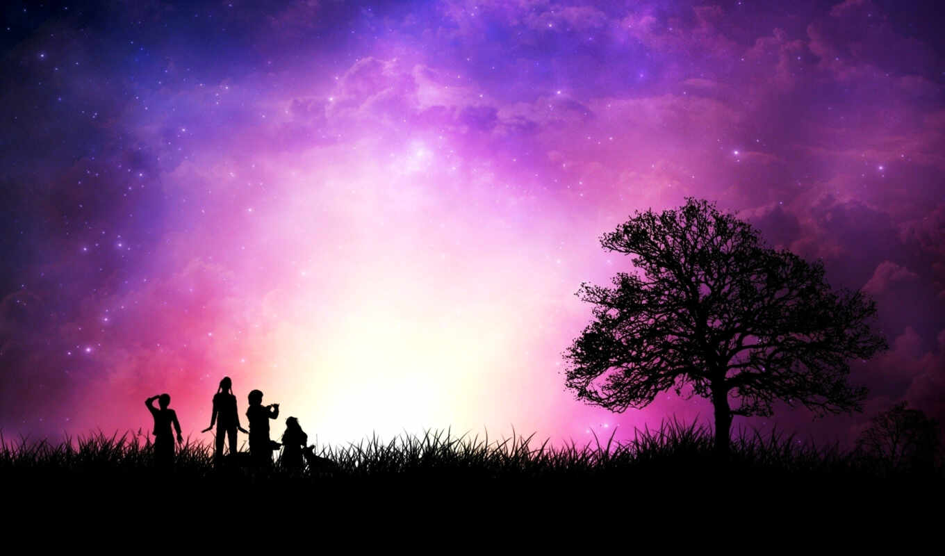 sky, style, tree, purple, grass, sunset, people, a shadow, stars