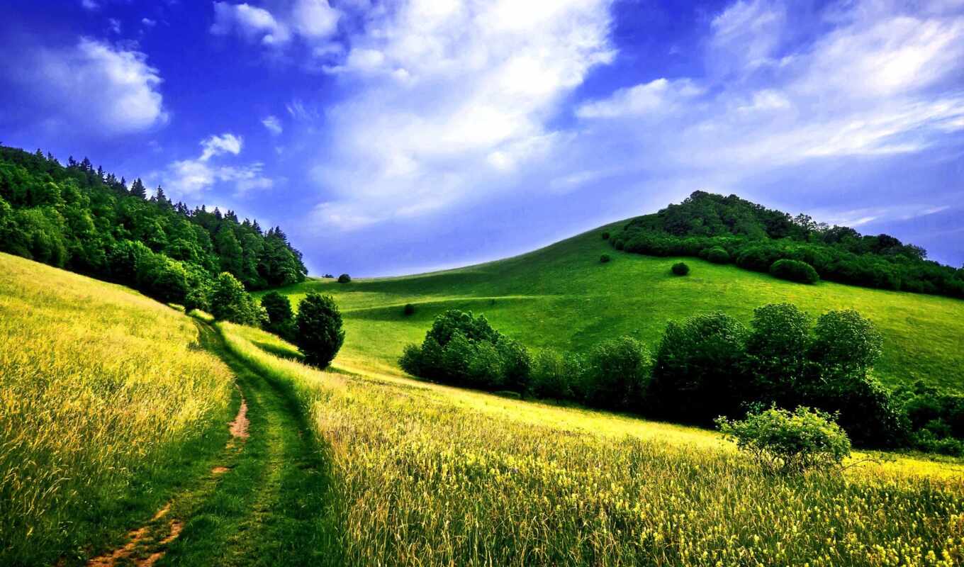 nature, green, grass, mountain, field, landscape, green, hill, funart