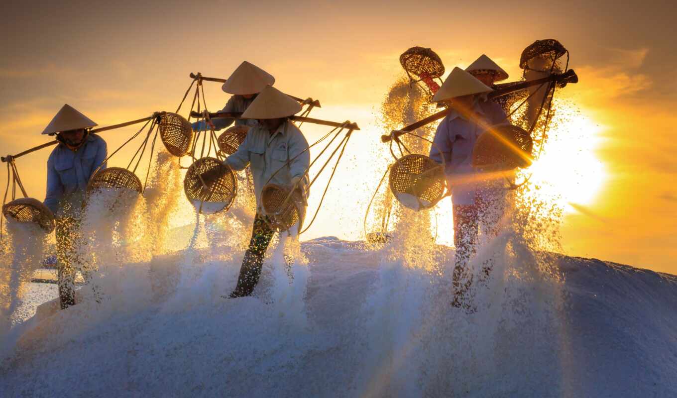field, work, salt, harvest, worker, vietnam