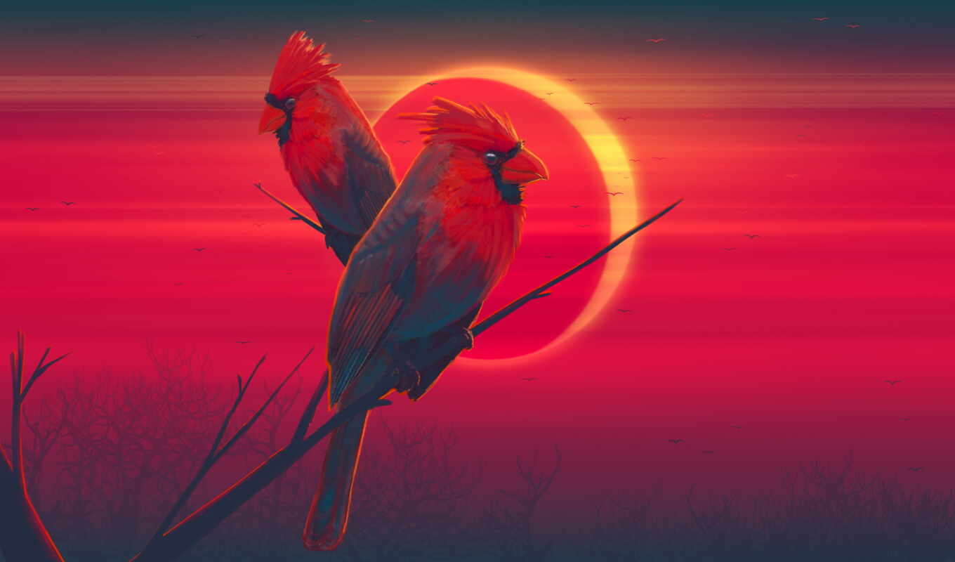 photo, art, background, digital, red, bird, artwork, eclipse, artist, beak