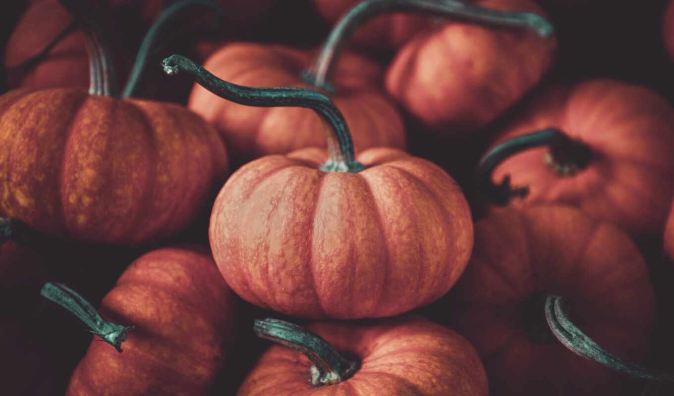 mouth, halloween, pumpkin