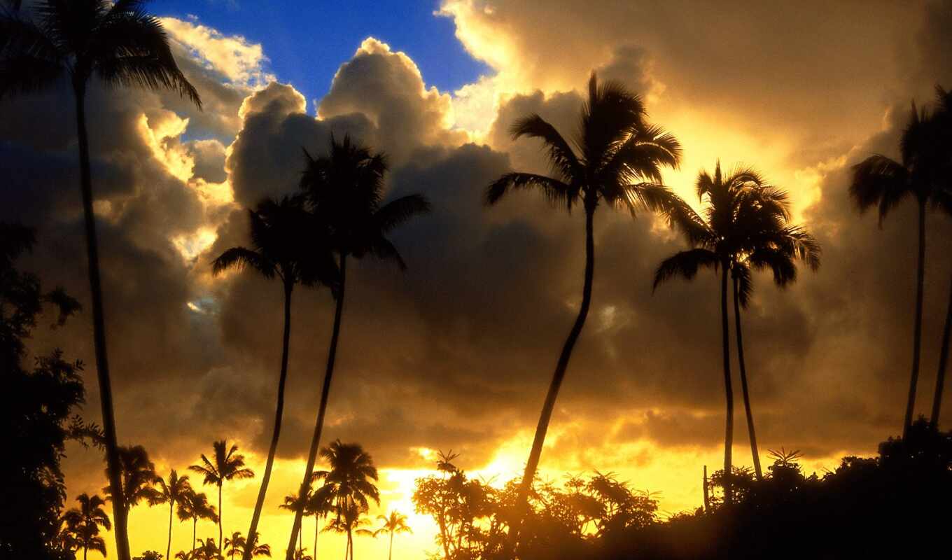 nature, photo, creative, sea, beautiful, hawaii, adsense, adsbygoogle