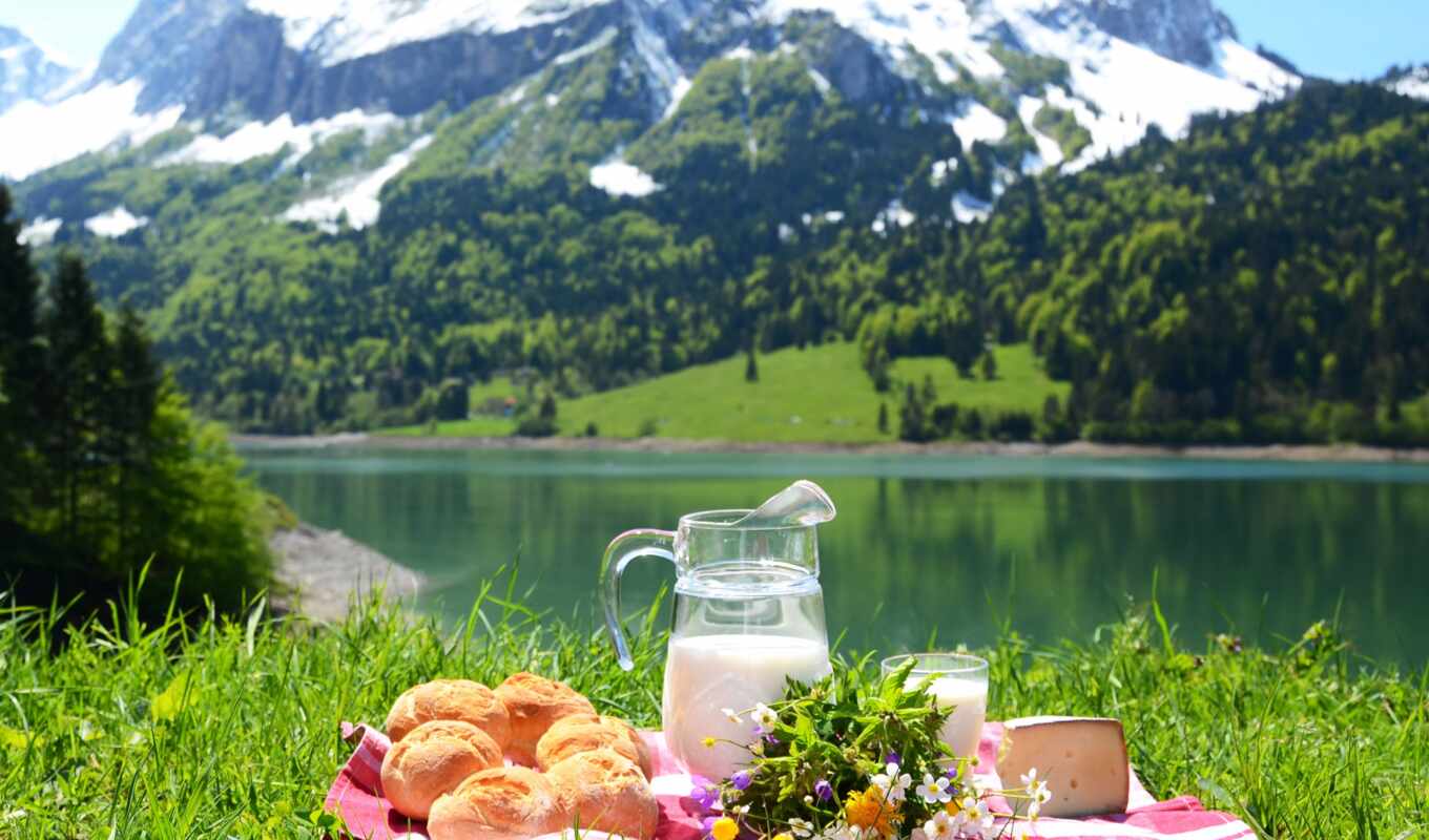 nature, milk