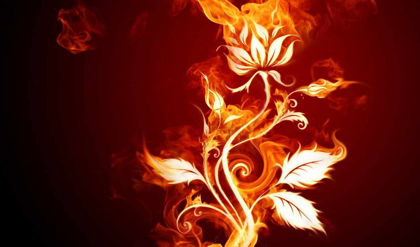 цветы, free, abstract, огонь