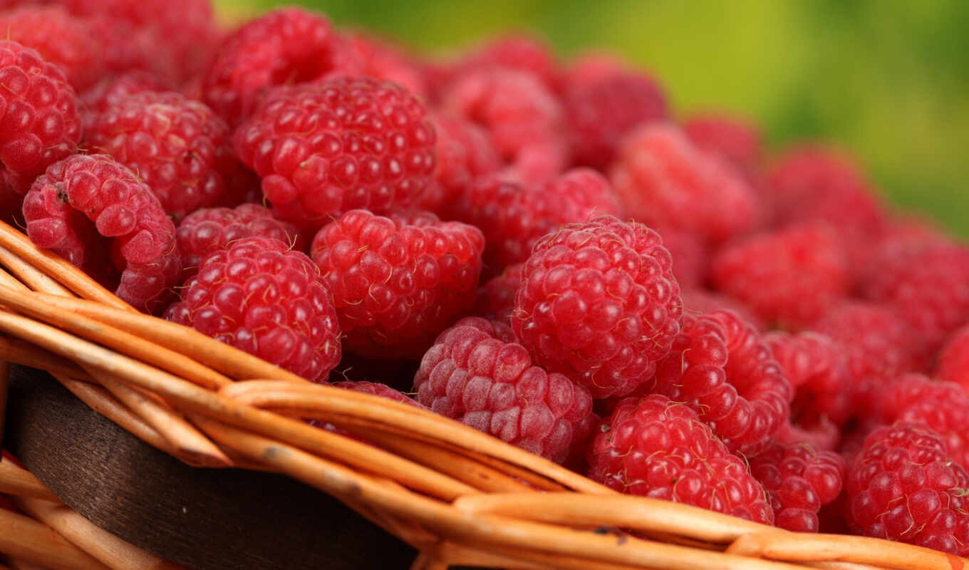 raspberry, basket, variety, berry