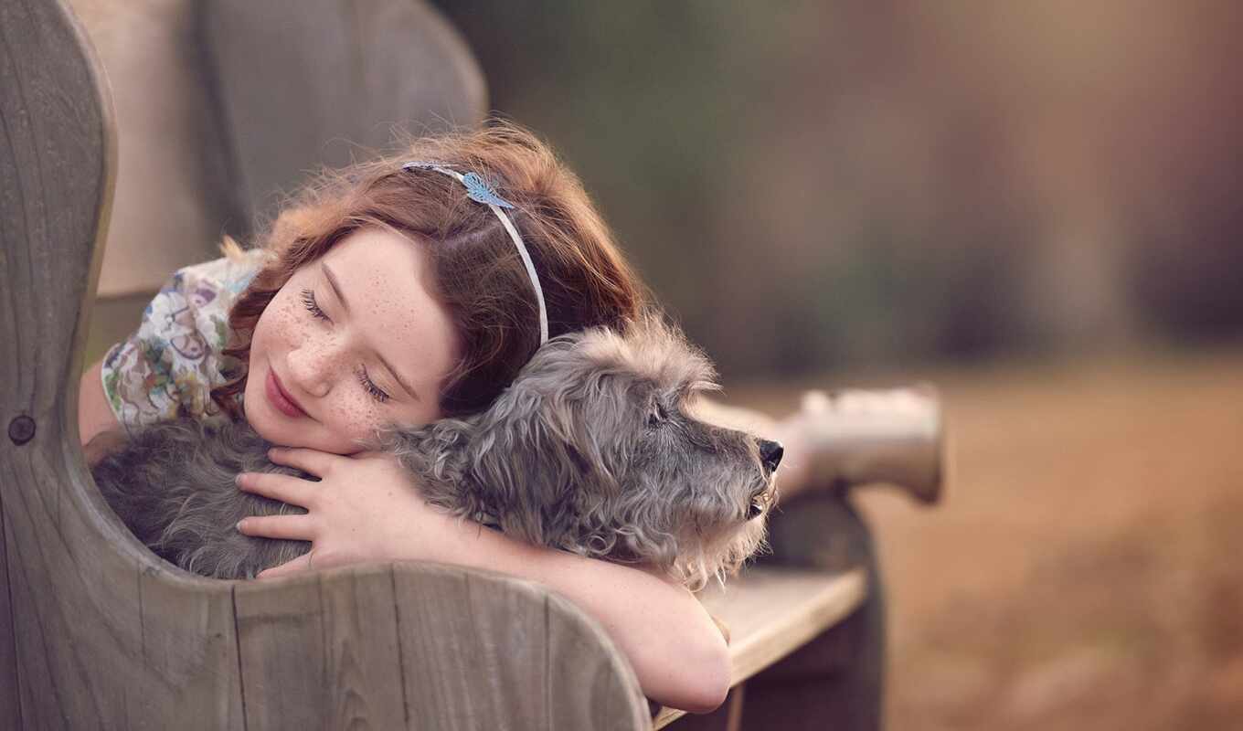 girl, friendship, already, dog, mood, tag, doggie, bench, french, companion, bulldog