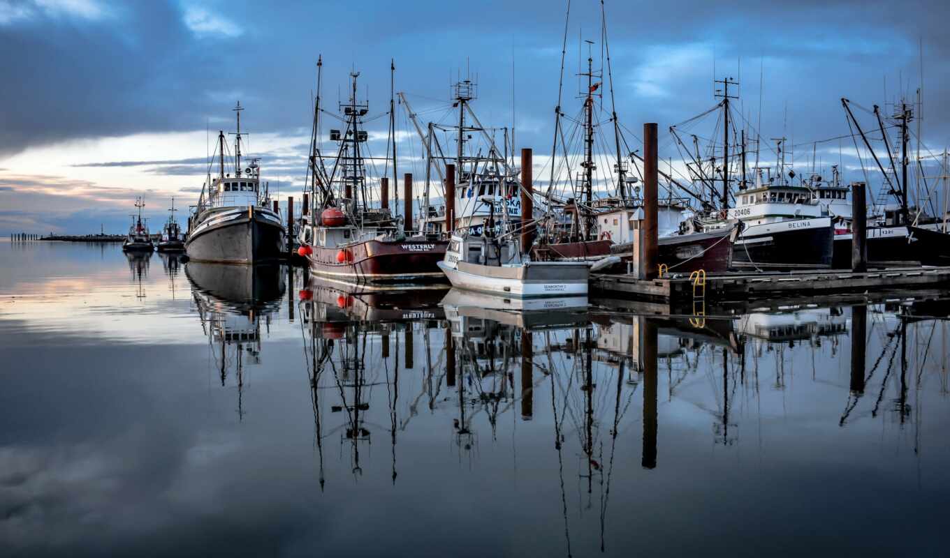 water, fish, village, reflection, florida, Vancouver, doc, harbor, desa, steveston