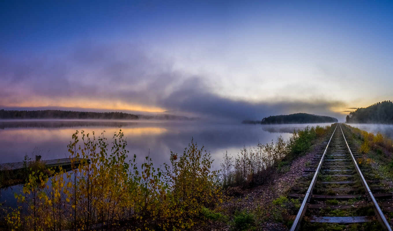 tree, forest, and, autumn, picture, river, fog, expensive, iron, rail