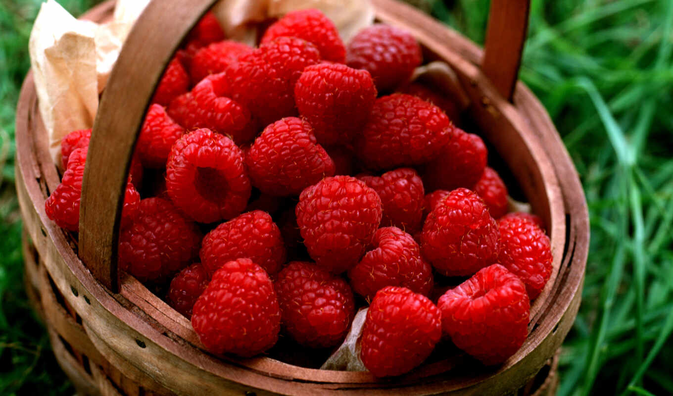 raspberry, basket, berry