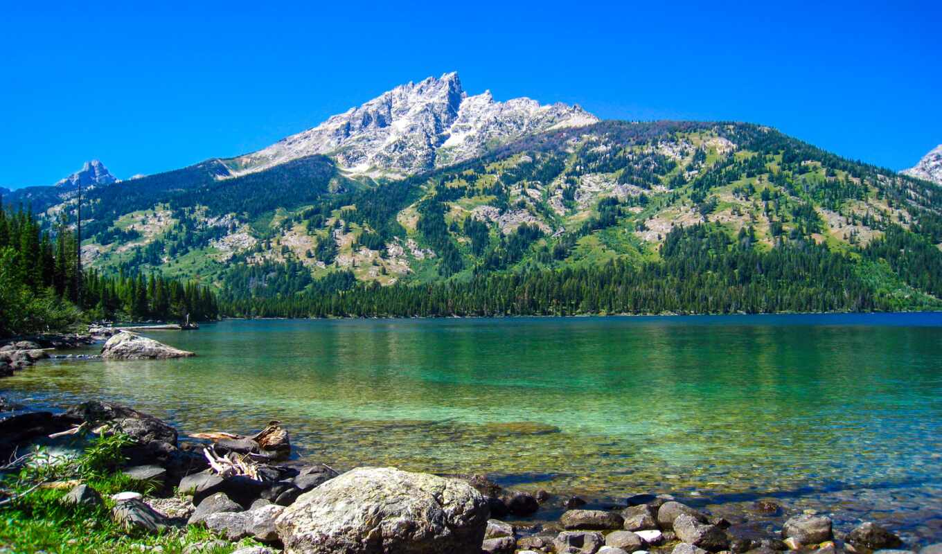 lake, nature, anime, forest, mountain, reflection, national, teton, Jenny, mountains