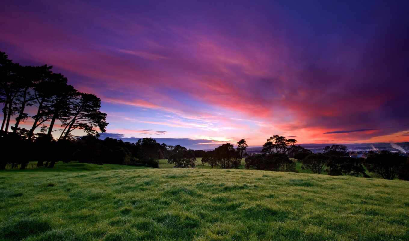 sky, green, grass, sunset, field, trees, lawn, photo wallpapers