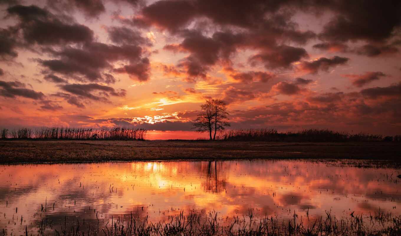 sky, red, field, cloud, morning, the most