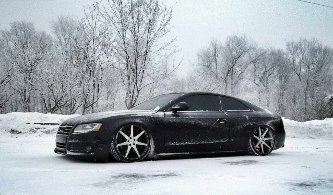 photo, background, snow, vossen