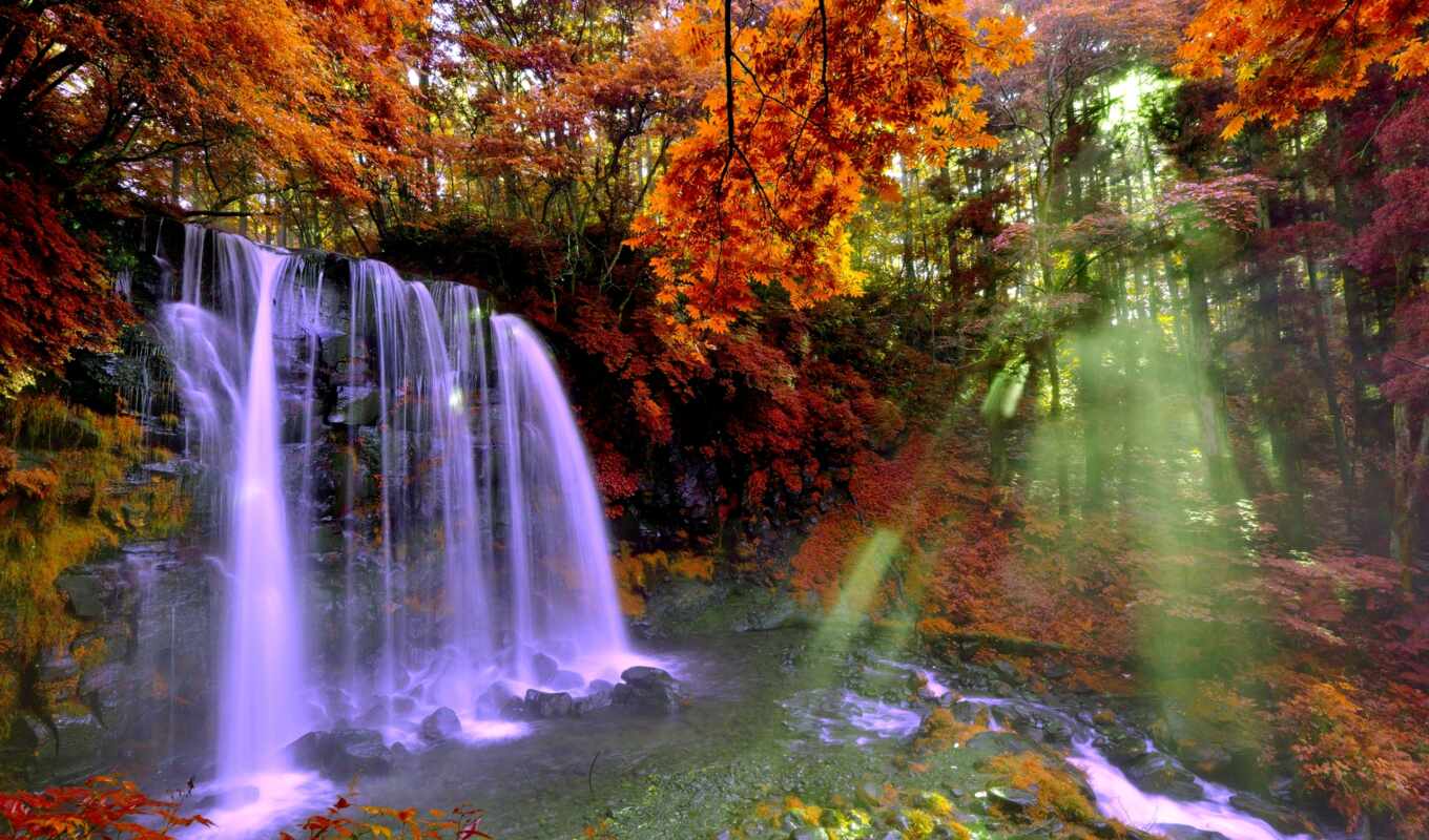 free, forest, autumn, waterfall, ring, sunshine