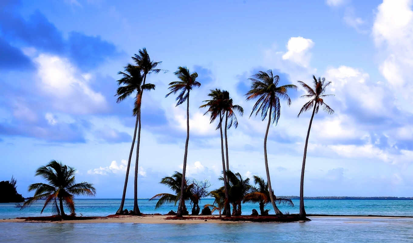 nature, beach, sea, sand, palm trees, island, rest, spa, taha, tahaa