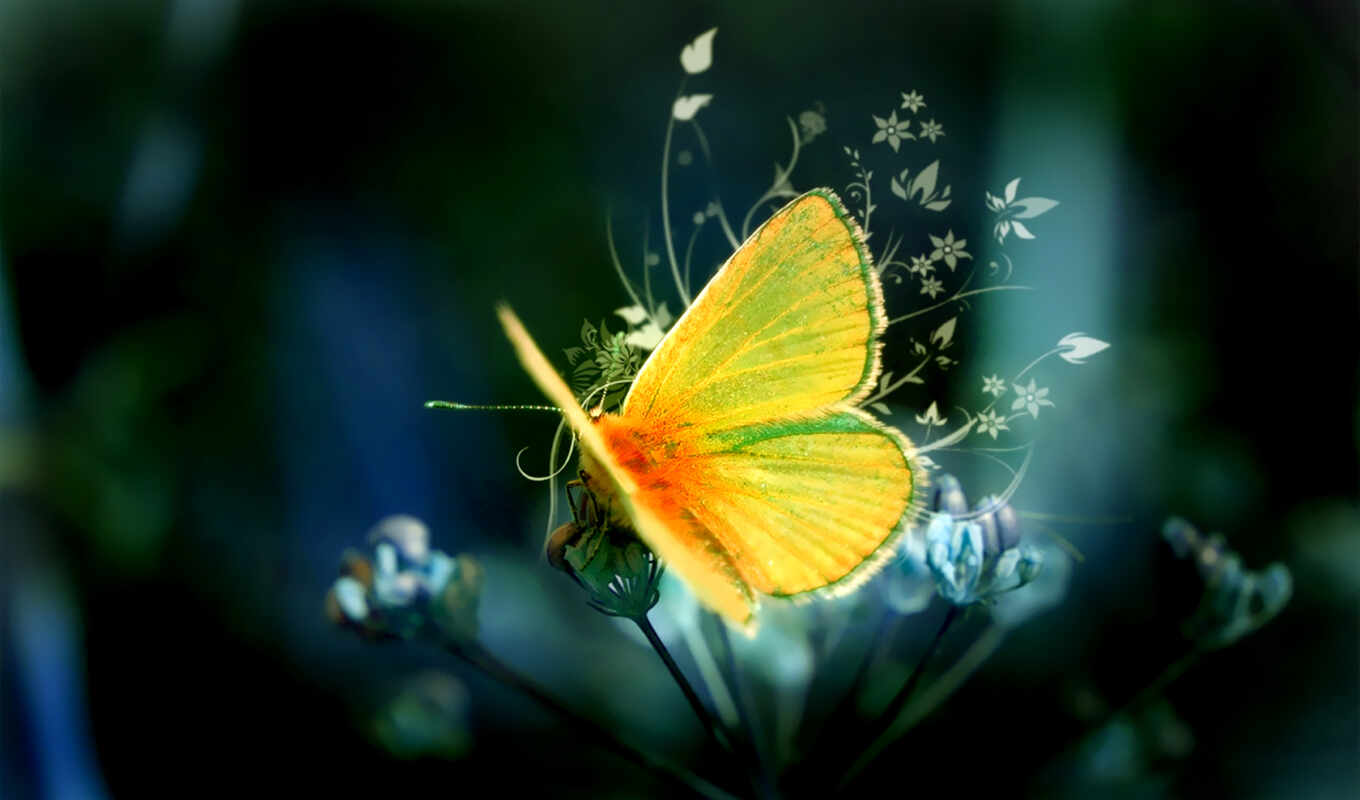 flowers, butterfly, add, plant, beautiful, yellow, sit, art, alive, makryi