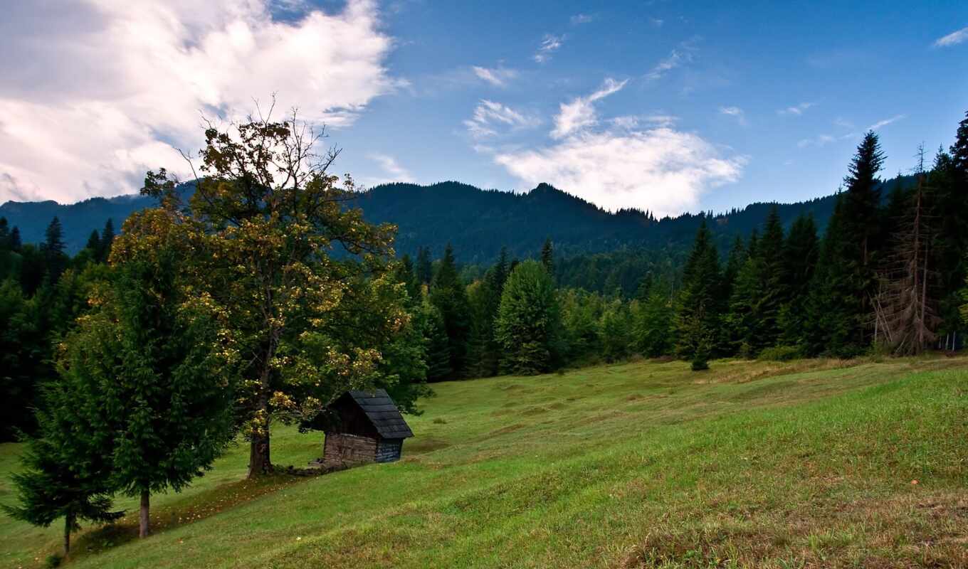 nature, sunset, forest, field, landscape, lodge, meadow, mountains
