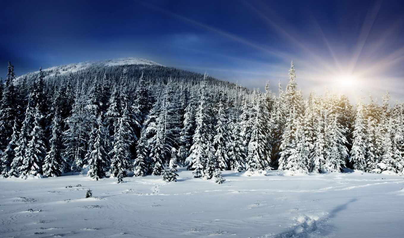 пейзажи -, winter, landscape, зимние, landscapes