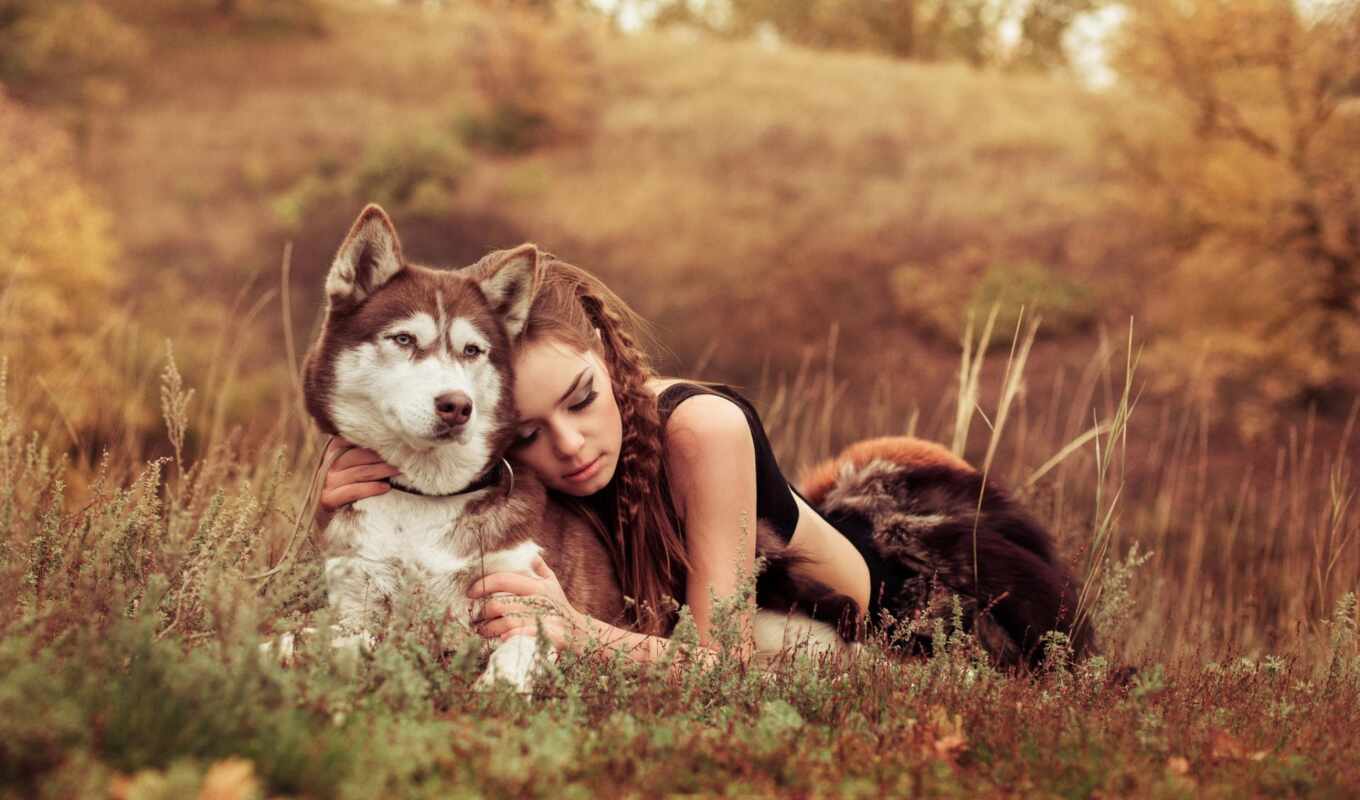 nature, girl, beautiful, field, dog, husky, friends, choose, with the button, back