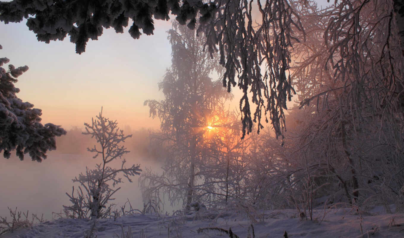 sun, дерево, закат, снег, winter, лес, taiga, утро, siberian
