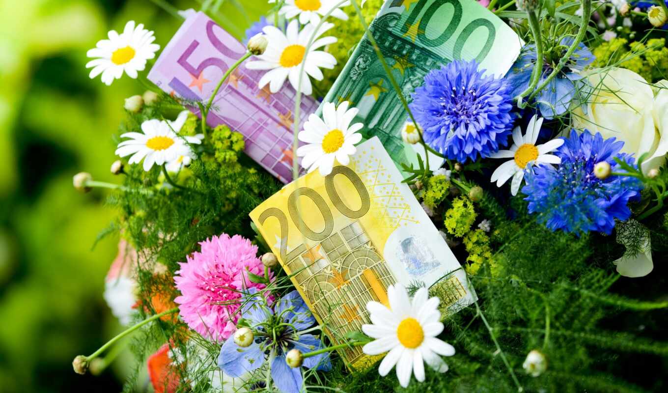 цветы, money, евро