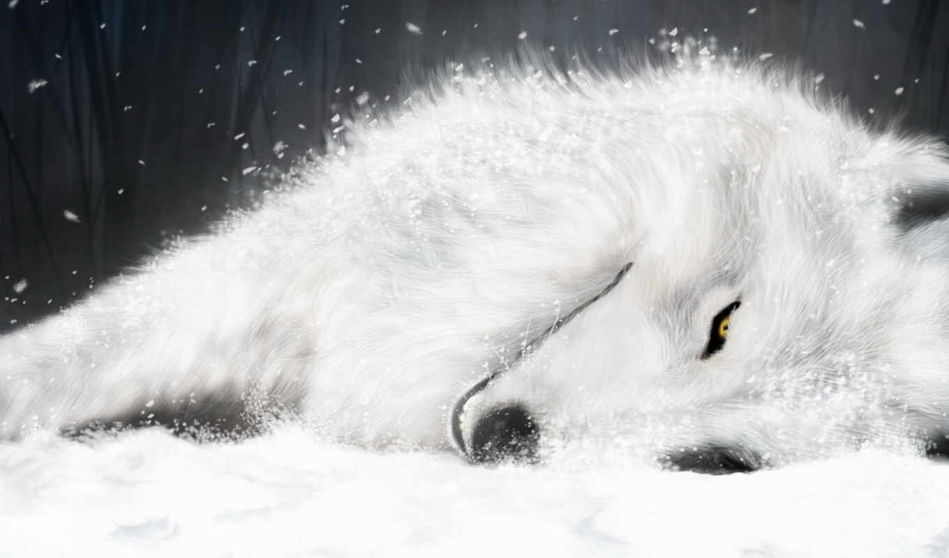 white, снегу, волк, волки, fantasy, final, волков