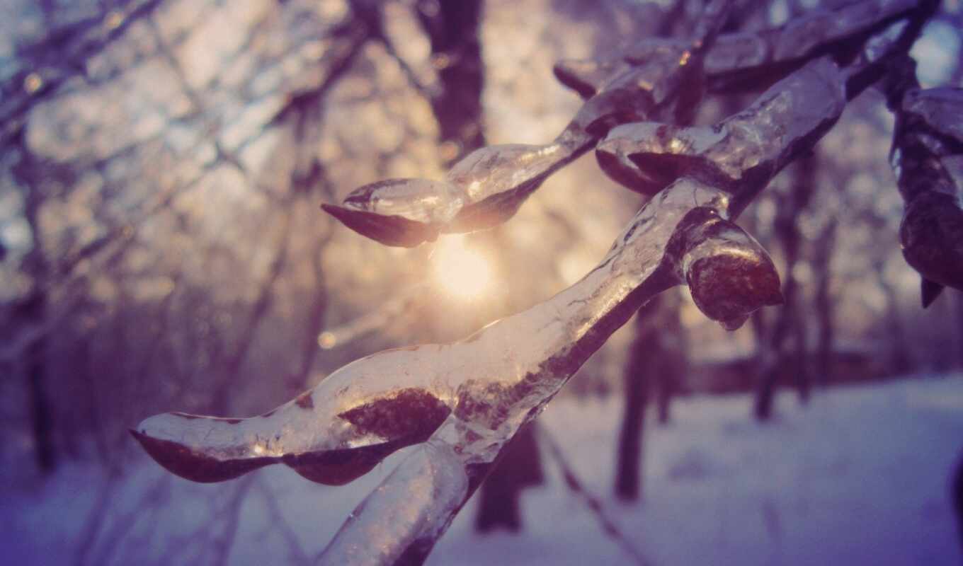 природа, макро, лед, красивые, winter, красиво