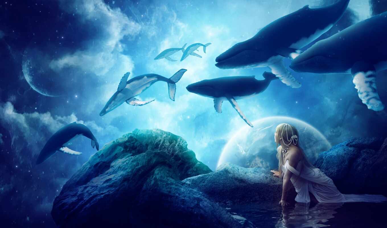 fantastic, us, fantasy, sky, fantastic, china, which, whales, images