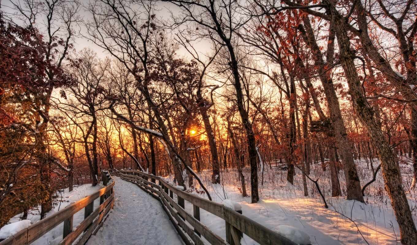 winter, снег, sun, trees, лес, закат, природа, красивые, alcatel, 
