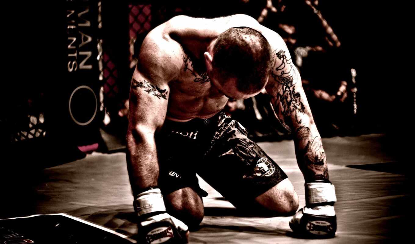 the fighter, arts, mma, combat, mixed