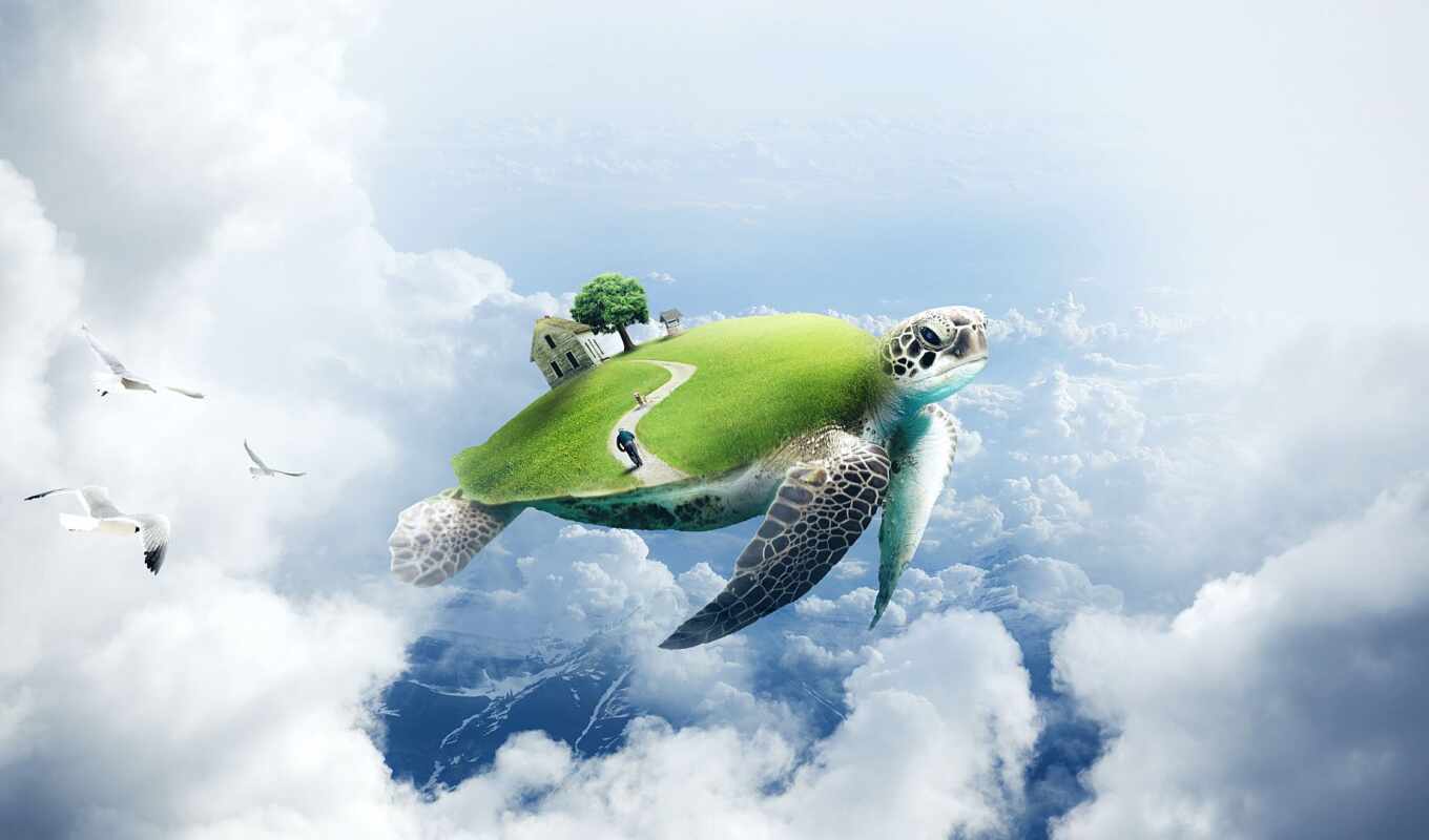 sandbox, photoshop, turtle, speed