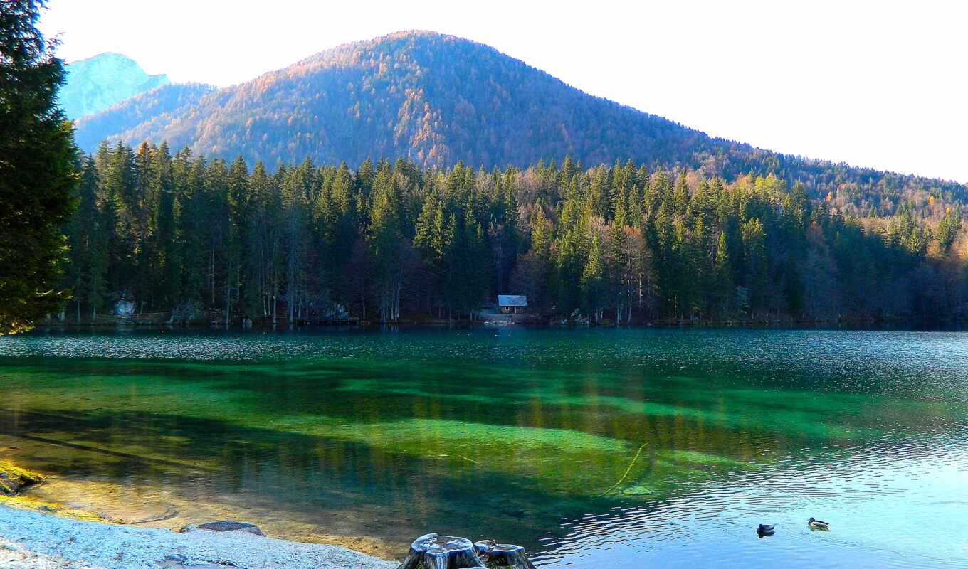 nature, fusine, lower