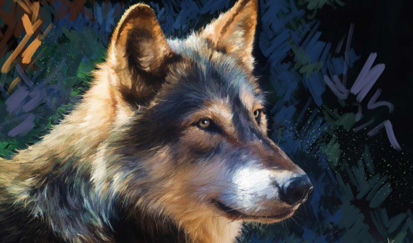 art, волк