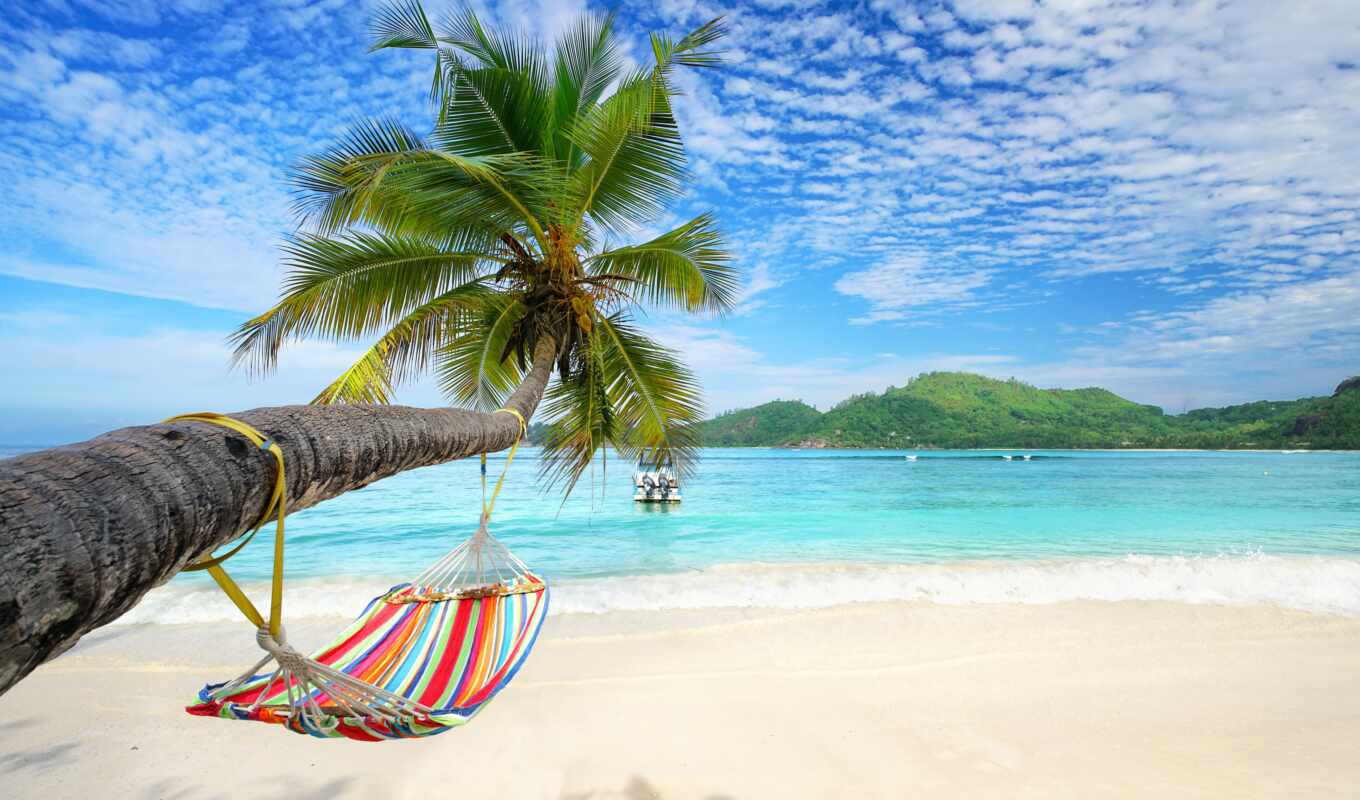 пляж, спа, palm, безмятежность, гамак, facebooksea