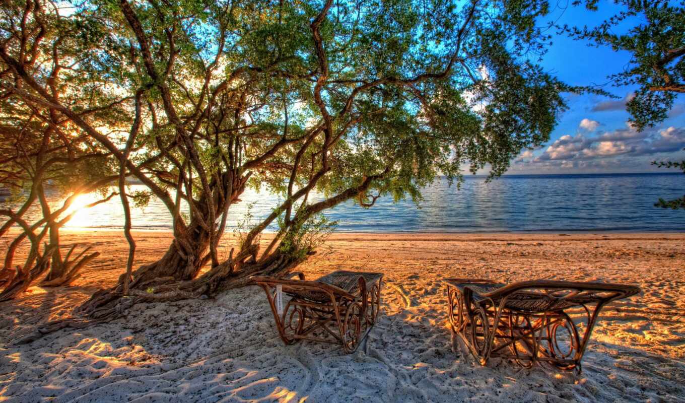 nature, online, water, beach, sea, coast, the beach, sand, ocean, vines, deck chairs