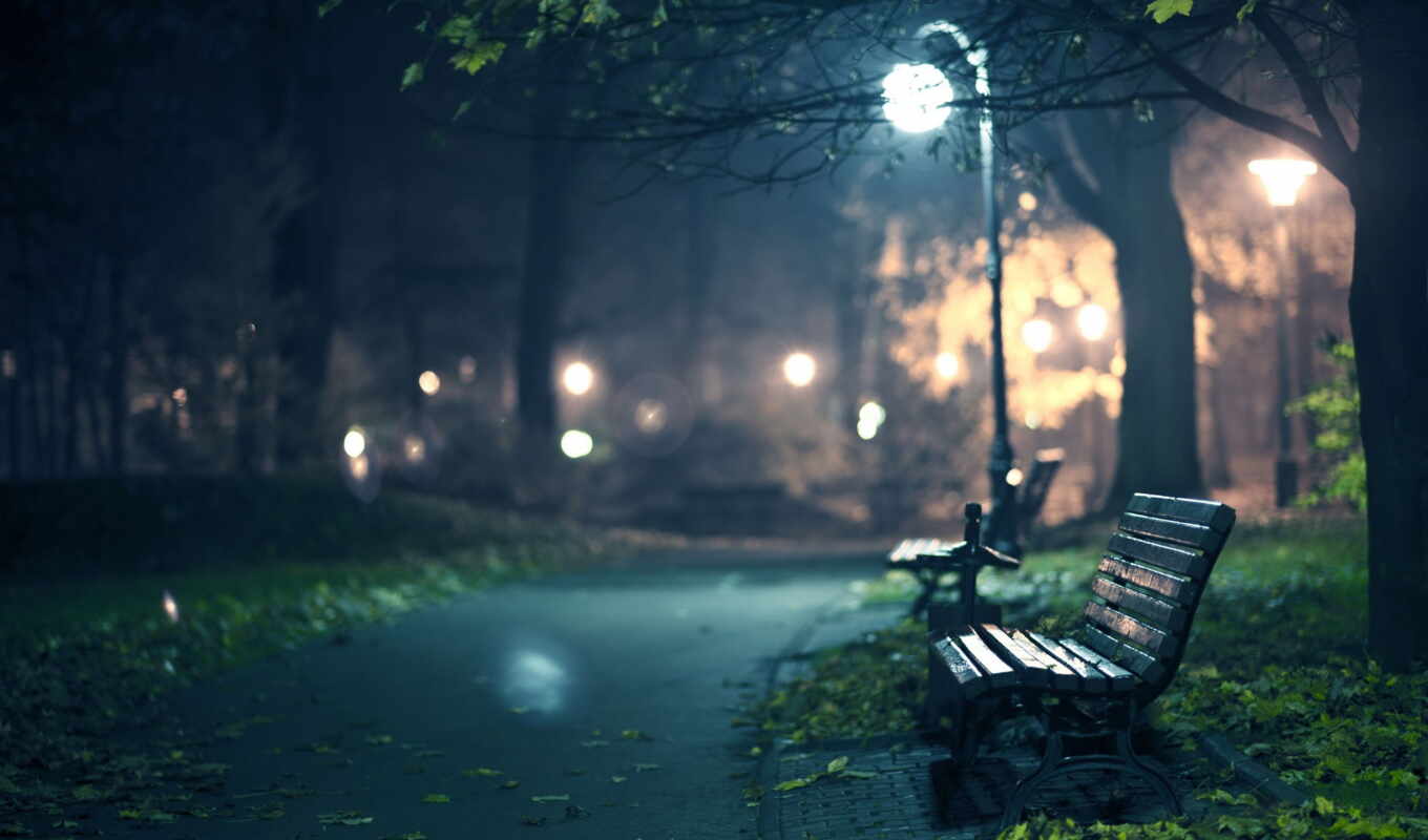 night, romance, evening, bench, park, benches, shops