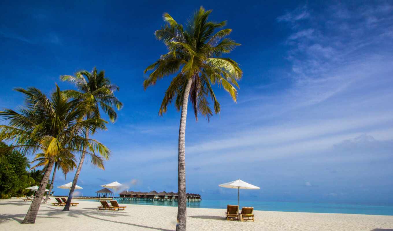 лицо, пляж, песок, во, maldives, tropical, tropic, region, тропический