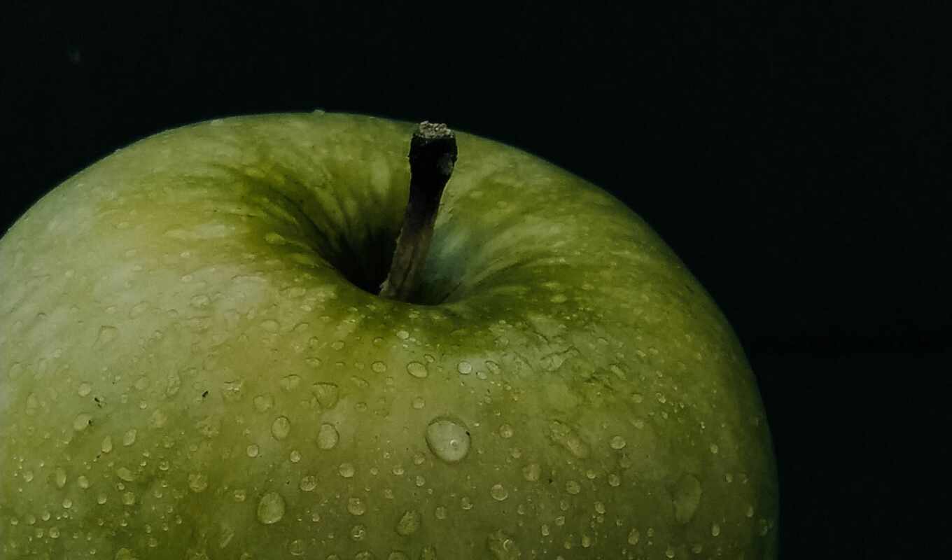 black, apple, green, fetus