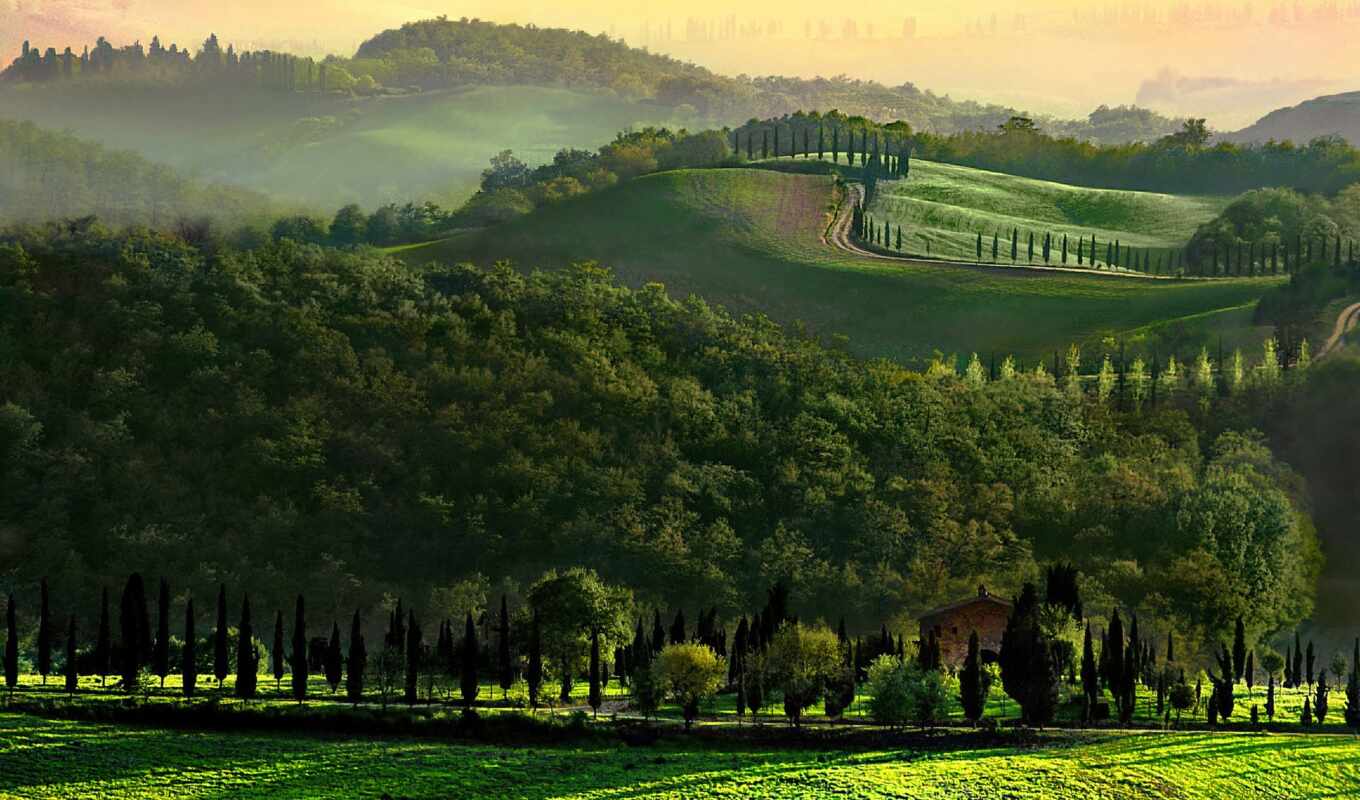 desktop, tree, road, field, morning, hill, italy, tuscany