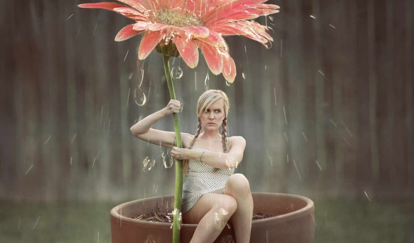 flowers, drop, girl, rain, water, big, pink, soul, flowerpot, art