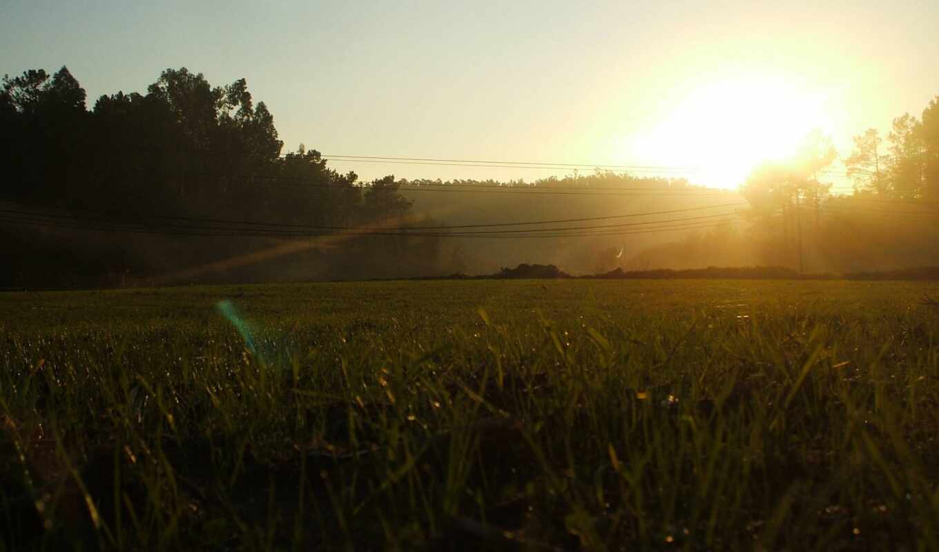 background, wire, portugal