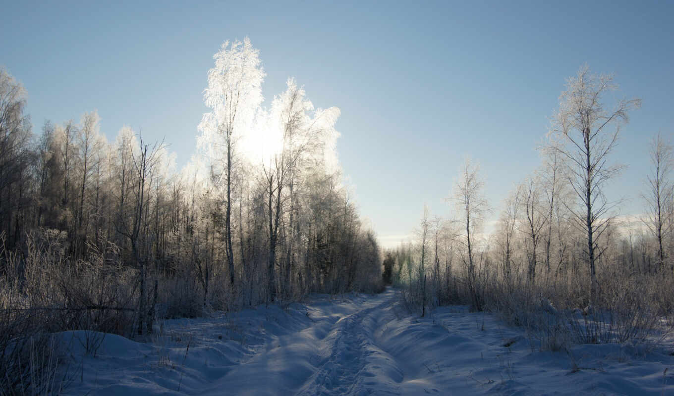 sky, frost, snow, winter, road, trees