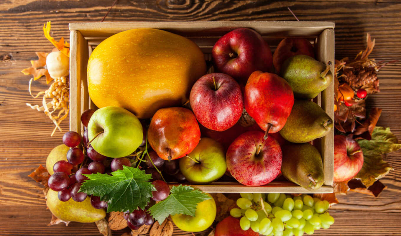 фотографий, осень, виноград, яблоки, тыква, фруктов, урожай, производить, фрукты